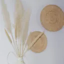 assiettes murales lombok L et S.webp