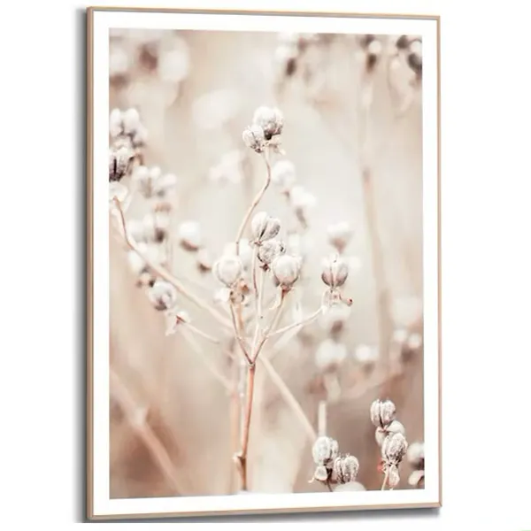 Cadre Boutons séchés