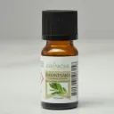 Huiles essentielles Ravinstara